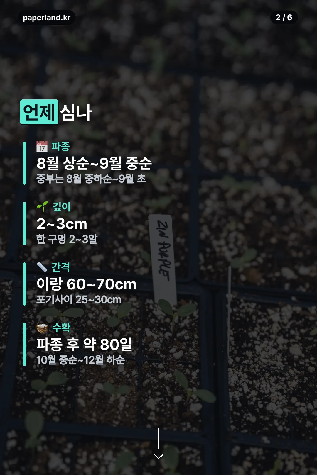 파종 기본 정보