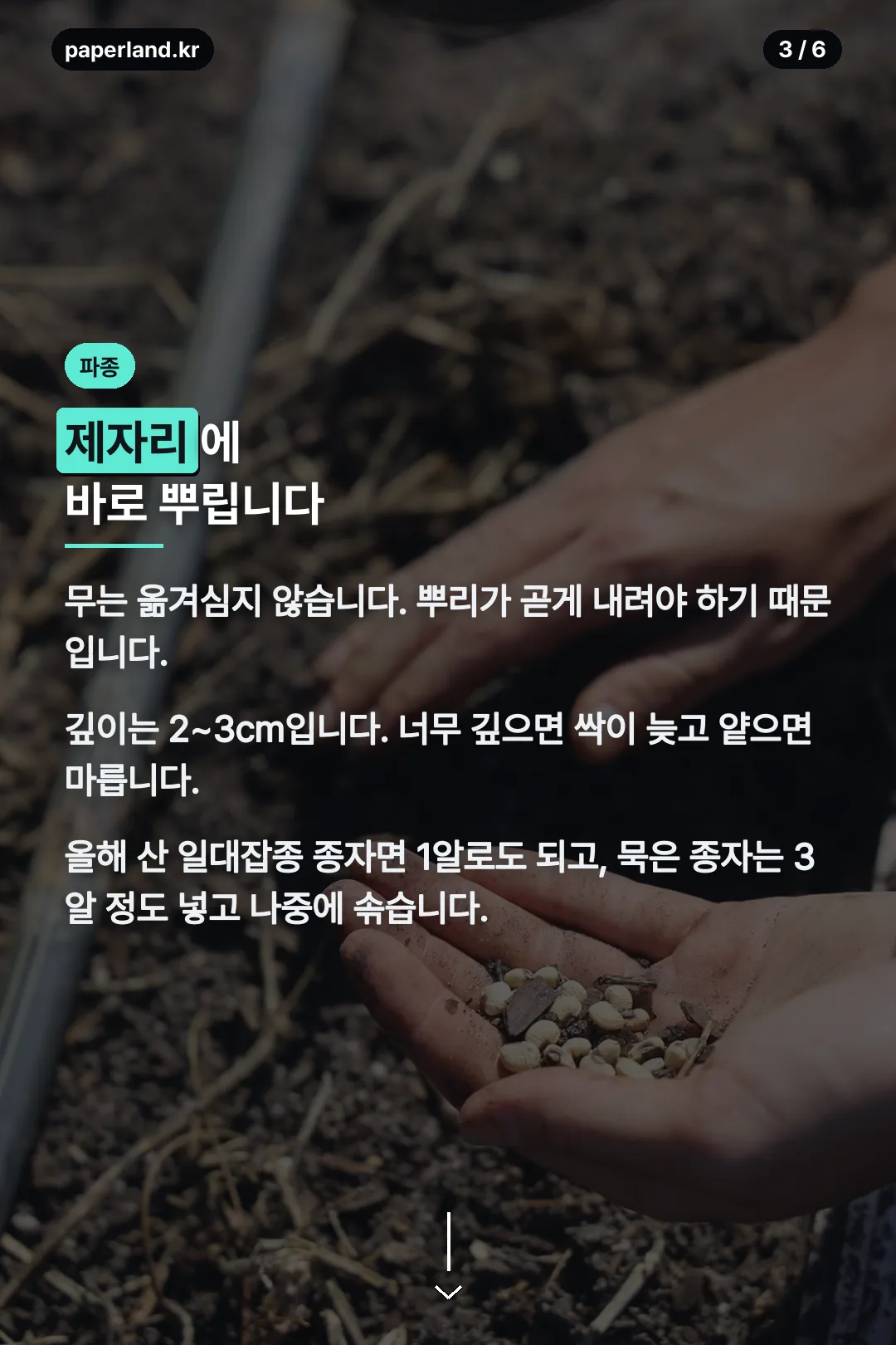 파종 방법
