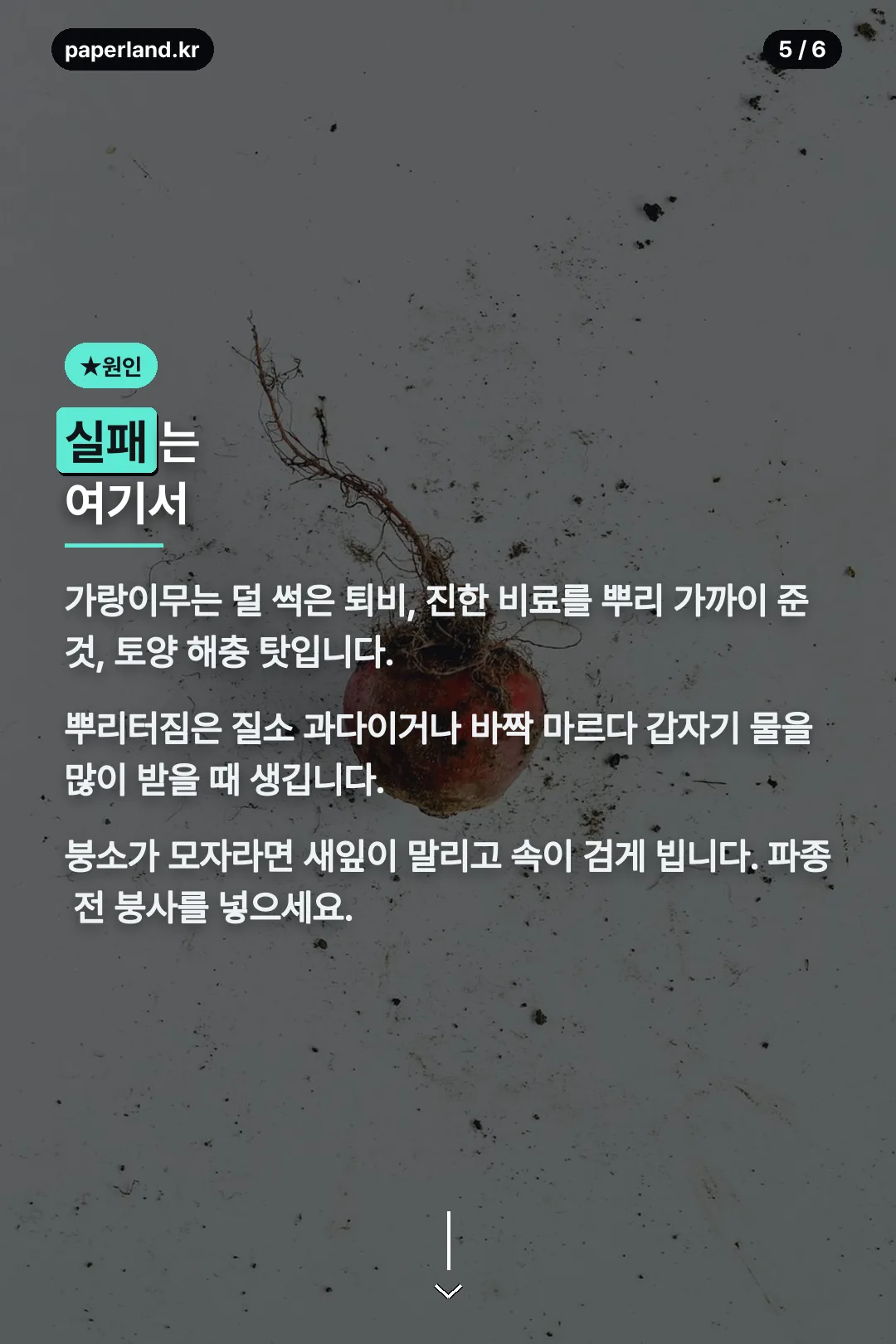 실패 원인