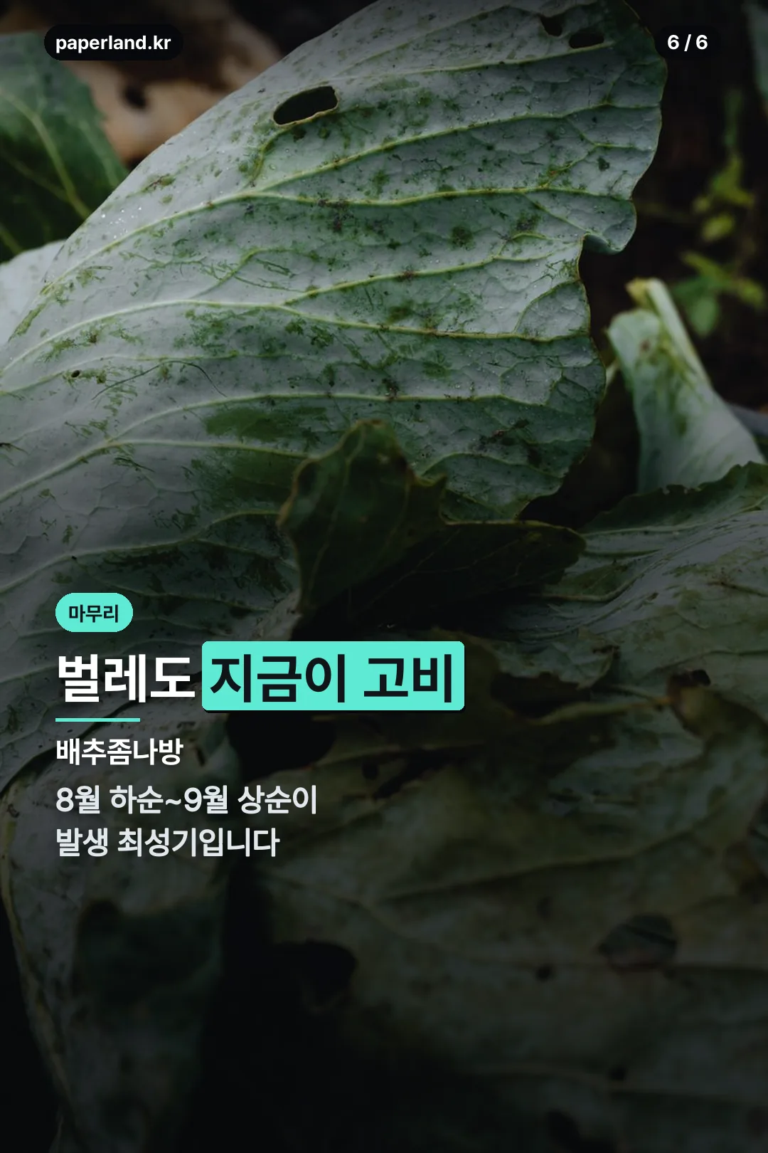 해충 주의