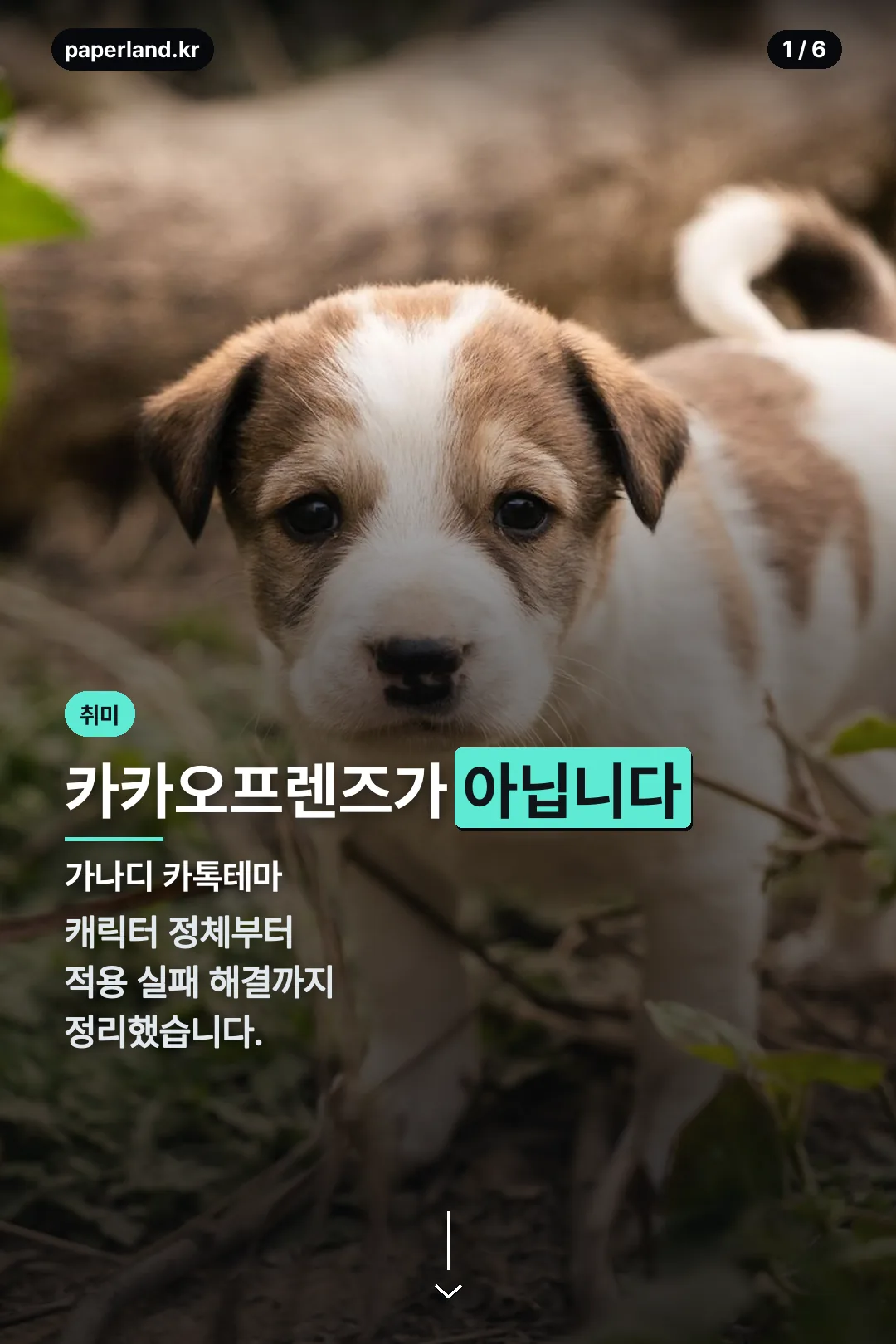 가나디 카톡테마 표지