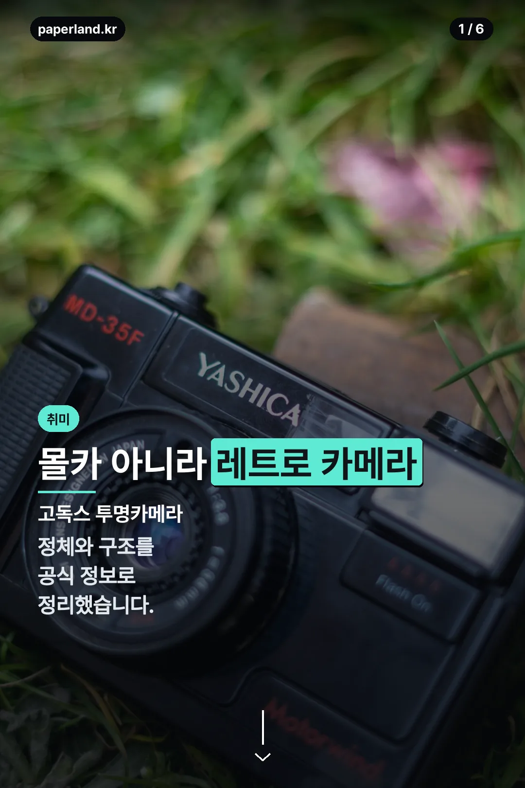 고독스 투명카메라 표지