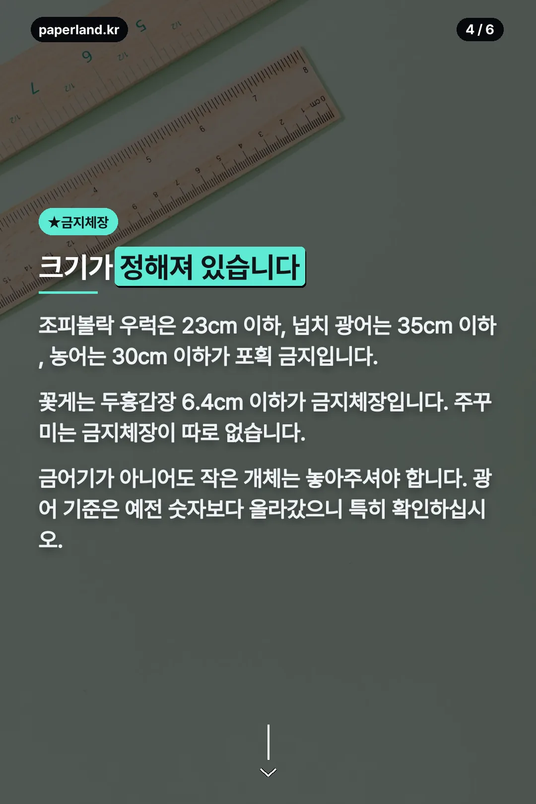 어종별 금지체장