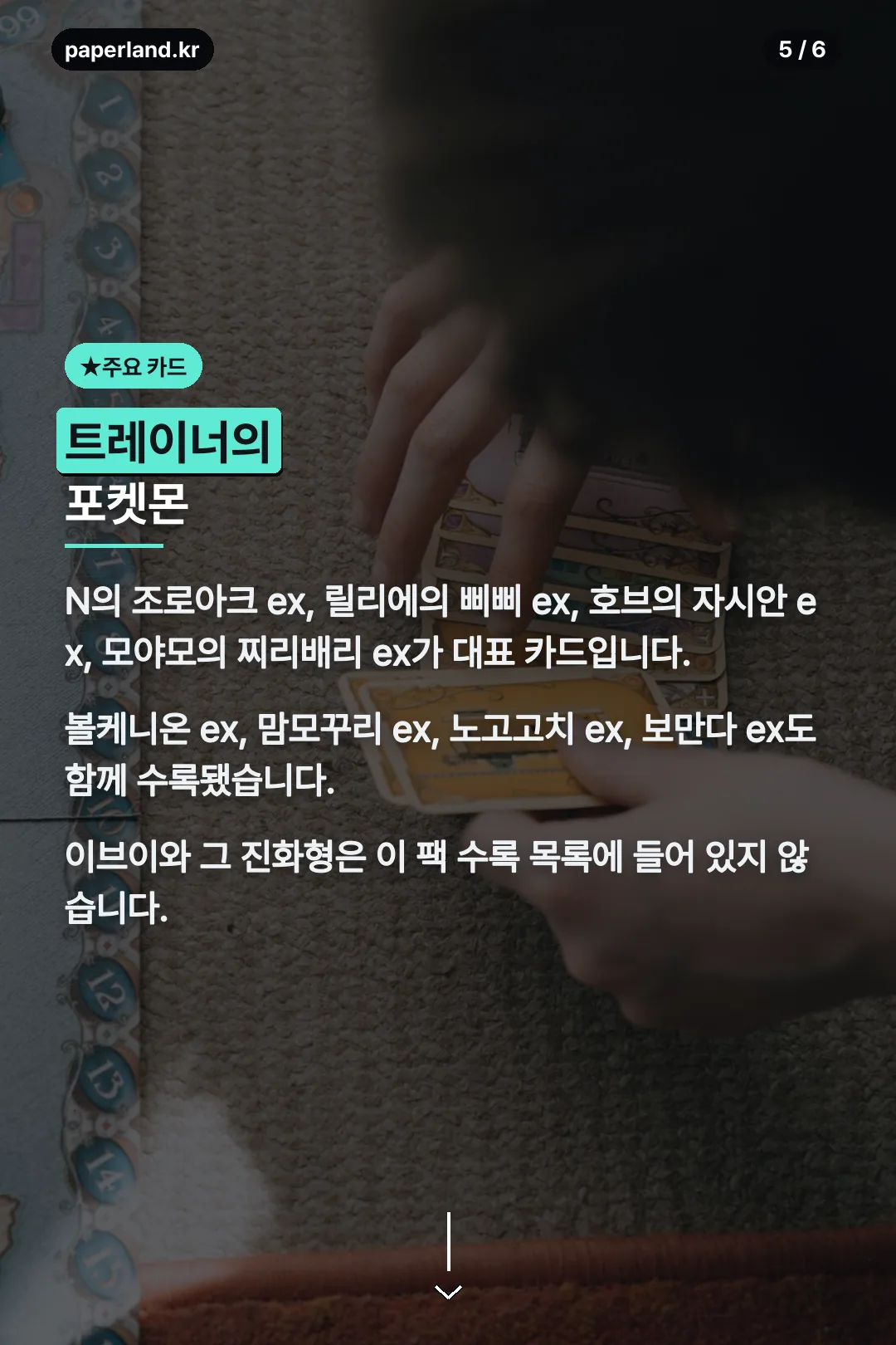 주요 ex 카드