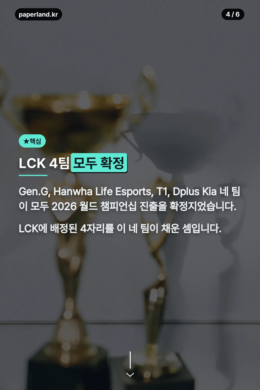 LCK 4팀 모두 확정