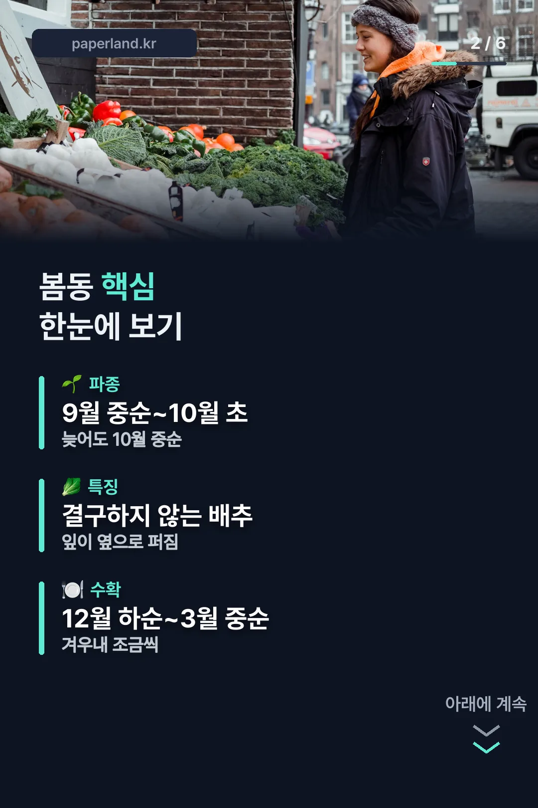 봄동 핵심 한눈에