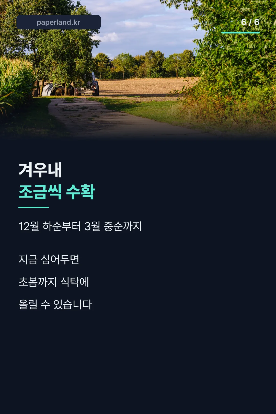 겨우내 조금씩 수확 마무리