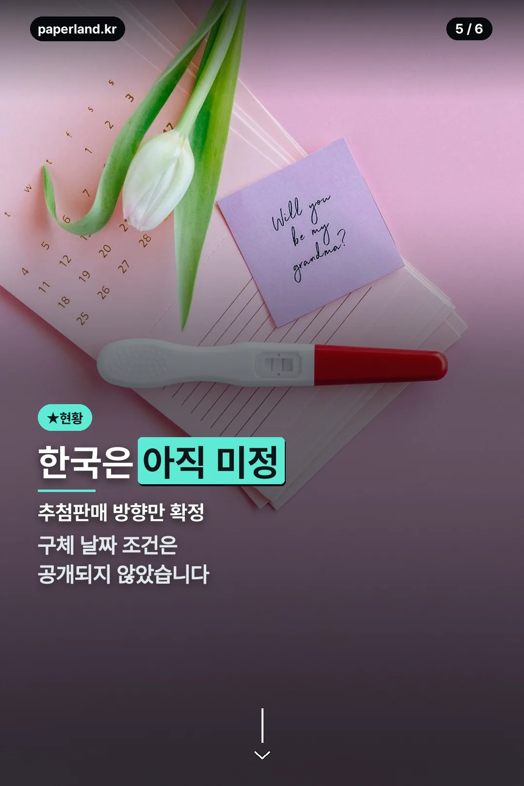 한국 현황