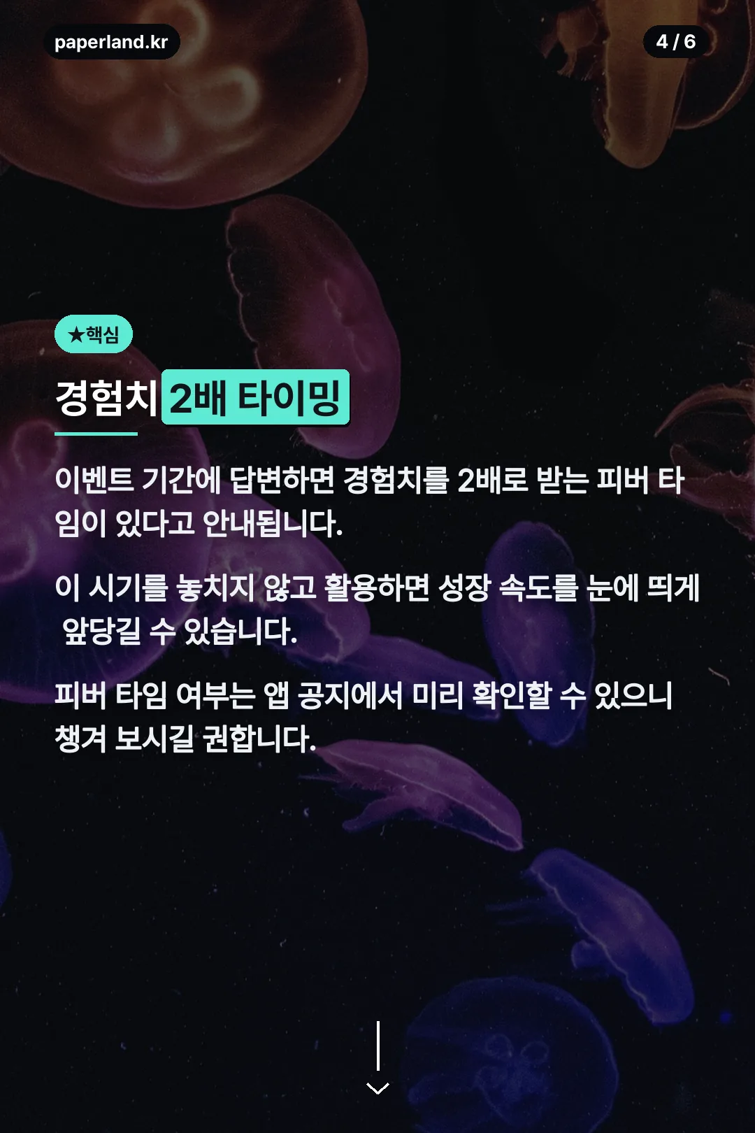 경험치 2배 타이밍