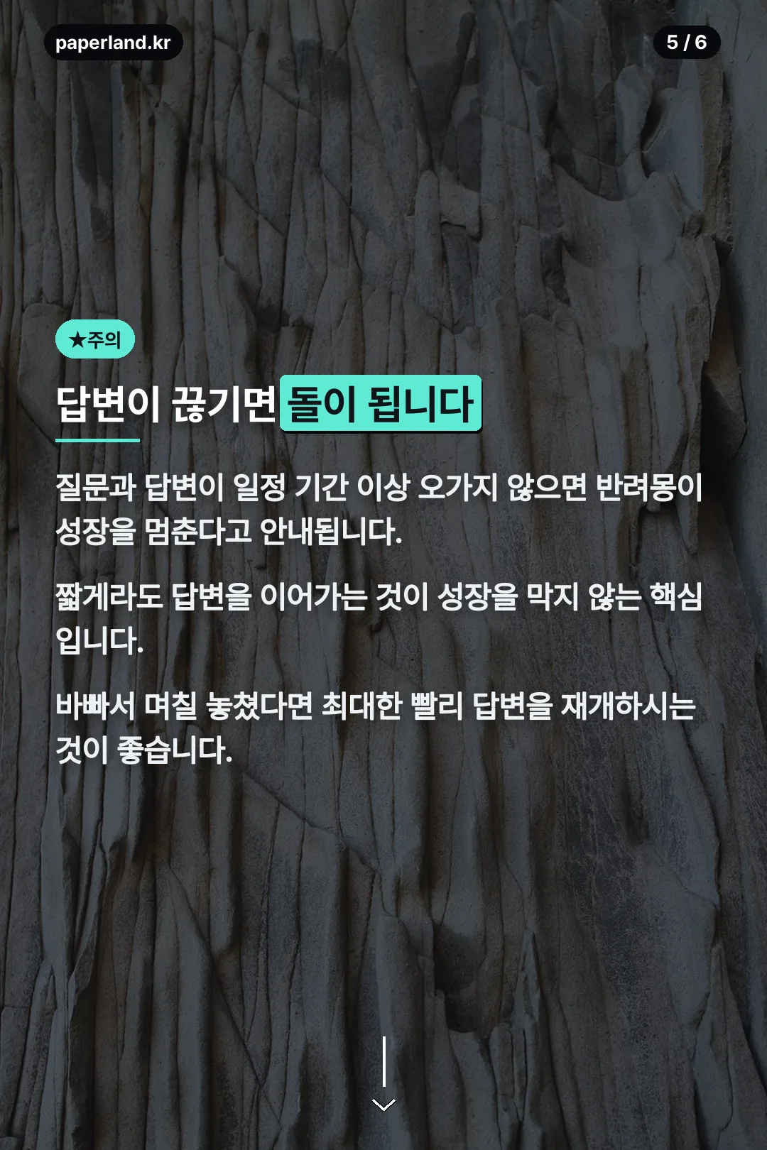 답변 끊김 주의