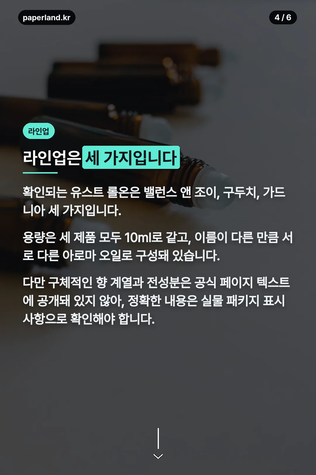 라인업 3종 안내