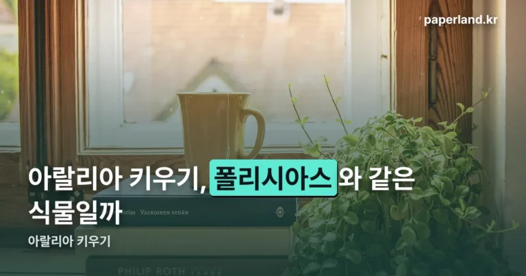 아랄리아 키우기 — 물주기·흙·빛, 폴리시아스라는 이름부터 정리