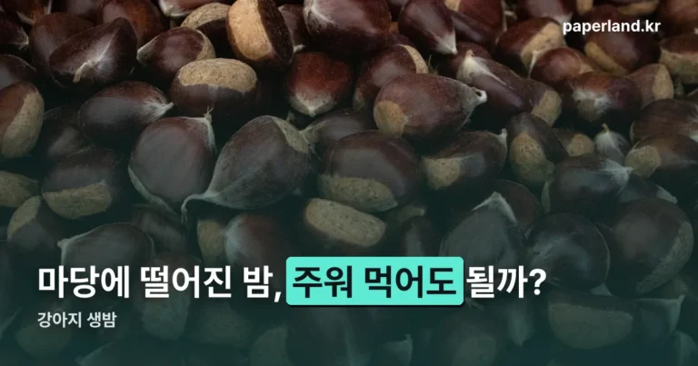 강아지 생밤 — 독은 없지만 삼키면 위험한 이유