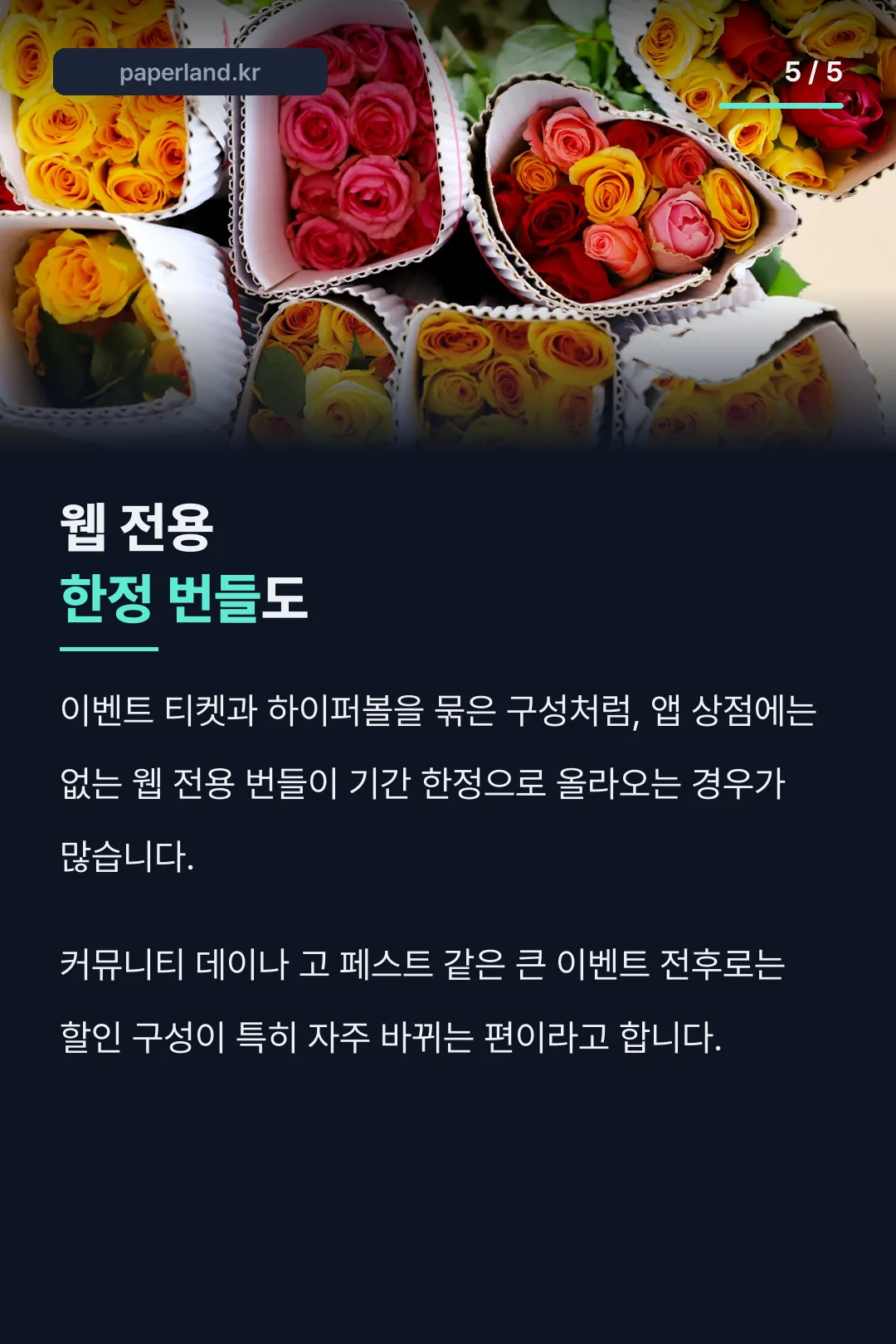 웹 전용 한정 번들